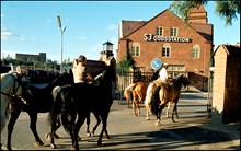 Hästar förs ut från norra station. I bakgrunden norra stations godsstation