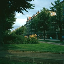 Karlavägen österut från korsningen av Sturegatan. Plantering med liljor