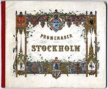 Promenader genom Stockholm : tio vuer i stålstick med upplysande text