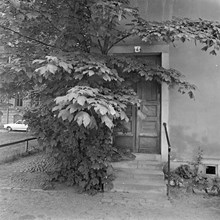 Porten till Hovslagargatan 4 där regissören Gösta Terserus hade sin bostad.