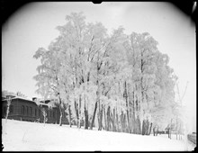 Vinterbild från Sophiahemmet