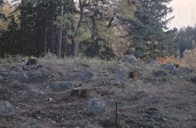 Brandgrav, anläggning nummer 16, fornlämning RAÄ 143 i Spånga socken