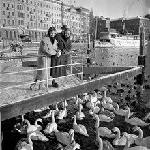 Strömkajen. Kvinnor tittar på svanar och änder på Strömmen. I bakgrunden fr. v. Grand Hotel och Bolinderska huset (Kungliga Automobilklubbens föreningshus)