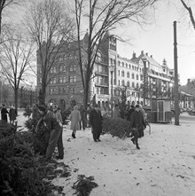 Julgransförsäljning vid Karlaplan. Huset i fonden revs 1969