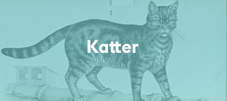 Katter