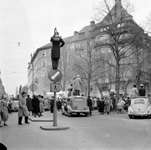 Narvavägen. Folksamling tittar på studentkarneval. Folk har klättrat upp i träd, på biltak och i gatlyktor för att kunna se