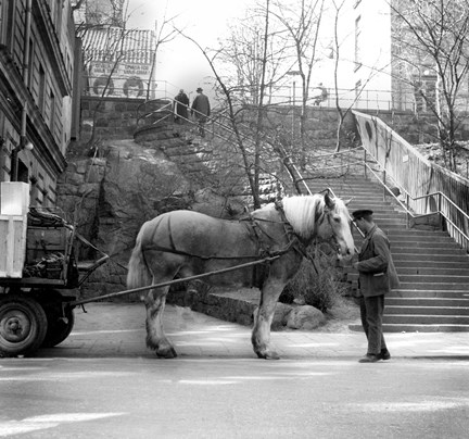 Häst och vagn på Saltmätargatan