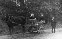 Häst med vagn lastad med mjölkflaskor år 1912. I vagnen sitter sitter Elna och Edit som kör mjölken mellan Flemingsberg och Kungsholmen.