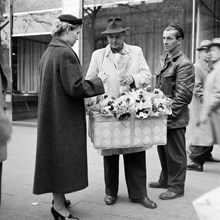 Gatuförsäljare saluför blommor vid Norrmalmstorg