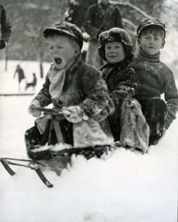 Fotografi på barn som åker pulka i Kronobergsparken
