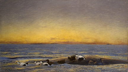 Sjöfåglar i gryningsljus vid havet målade av Bruno Liljefors