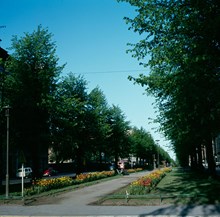 Planteringar i Karlavägsallén. Vy österut från Jungfrugatan