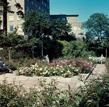 Plantering i parken (nuvarande Sankt Göransparken) sydost om Kvinnohuset, östra Stadshagen