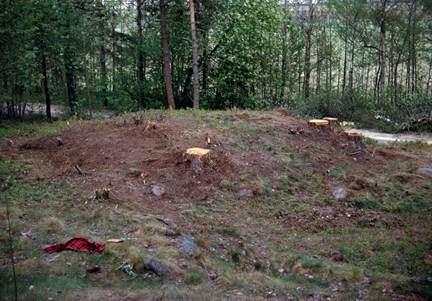 Vy från sydväst över gravfält RAÄ 26 i Östberga, Brännkyrka socken