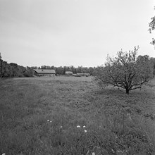 Odlingsmark och ladugårdar vid Riddersvik