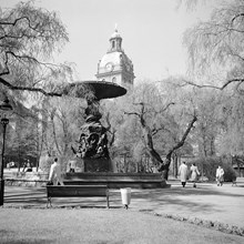 Molins fontän, Kungsträdgården