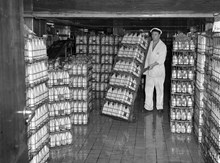 Torsgatan 14-20, Mjölkcentralen. Bertil Andersson med några av de 300 000 liter flaskmjölk som dagligen tappas upp