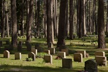 Skogskyrkogården Begravningsplatsen