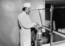 Kvinna på Mjölkcentralen mäter upp mjölk i en mjölkkanna med ett så kallat långskaft.