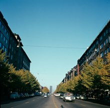 Sveavägen norrut från Rådmansgatan