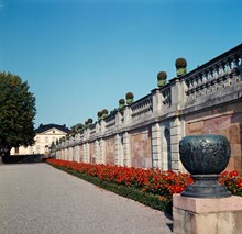 Plantering i Drottningholmsparken. Drottningholms Slottsteater i fonden