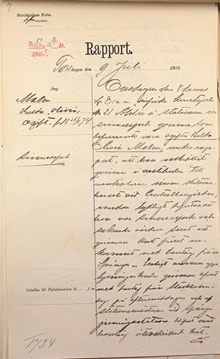Hulda Olivia anses "sinnessjuk" och blir tagen av polisen - polisrapport 1903