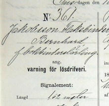 F.d. bokbindarlärlingen Bernhard Jakobsson-Flaksbinder, 27, varnad för lösdriveri 10 juni 1891 - polisförhör