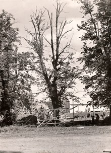 Arbetare i skuggan av ett träd, Kristinebergs Idrottsplats, juli 1932