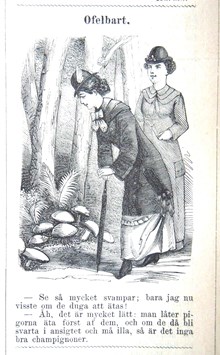 Ofelbart. Bildskämt i Söndags-Nisse – Illustreradt Veckoblad för Skämt, Humor och Satir, nr 41, den 13 oktober 1878