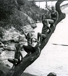 Långholmens friluftsbad: Trädklättring i juli 1935
