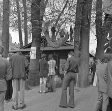 Kungsträdgården, maj 1971. Demonstrationer mot fällningen av almarna