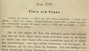Illustration ur bokens kapitel "Flora och fauna".