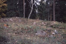 Skelettgrav och brandgrav, anläggning nummer 12, fornlämning RAÄ 143 i Spånga socken