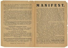 "Vänsterpartiet" blir till, år 1917