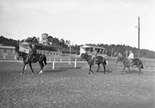 Ulriksdals kapplöpningsbana. Hästar och ryttare tränar inför ""Skandinaviskt Grand Prix"" följande dag