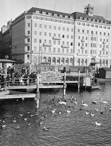 Strömkajen. Sjöfåglar på Norrström i förgrunden, Grand Hotel i bakgrunden