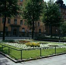 Plantering med blomstergrupp alyssum framför Ahlströmska Skolan, Kommendörsgatan 31, sedd från skolan