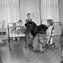 Polhemsgatan 30. Stockholms ponnyklubb besökte Kronprinsessan Lovisas Barnsjukhus. Jonas Ugander och ponnyn Jonny besökte patienterna