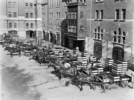 Münchensbryggeriets gård med ölutkörare och hästdragna vagnar lastade med flaskbackar.