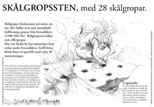 Skålgropsten med 28 skålgropar