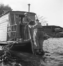 Dykare i Stockholm 1951
