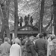 Kungsträdgården, maj 1971. Demonstrationer mot fällningen av almarna