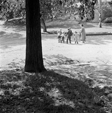 Åtta barn och en vuxen leker ringlek i park