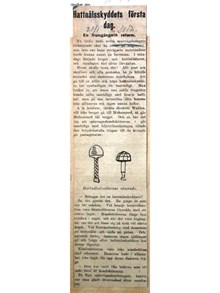 "Hattnålsskyddets första dag" - artikel Stockholms Dagblad 1913