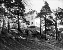 Villa Grut på Djurgården