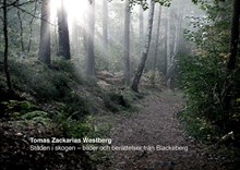 Staden i skogen – bilder och berättelser från Blackeberg / Tomas Zackarias Westberg
