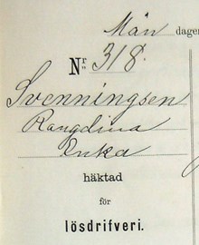 Änkan Rangdina Svenningsen, 52, häktad för lösdriveri 29 juni 1891 - förhörsprotokoll