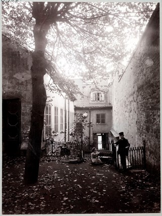 Ett träd som fällt sina löv på en innergård. En man och ett barn i bakgrunden.
