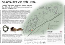 Gravfältet vid byn Linta