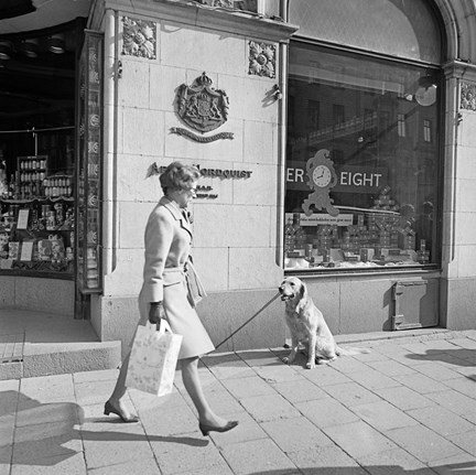 En kvinna med en shoppingskasse passerar hunden i koppel. Skyltat med After Eight-paket i skyltfönster.